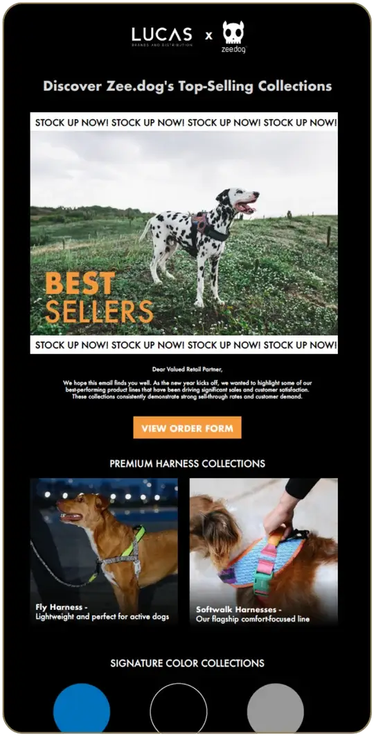 Consumer brand email campaign shown on a phone